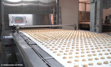 Divella scommette sui biscotti integrali e lancia una nuova linea