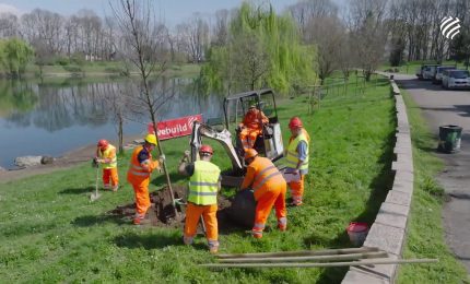 Ambiente, da Webuild 500 alberi per il Parco Forlanini a Milano