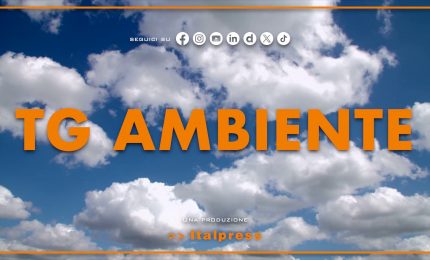 Tg Ambiente - 8/6/2025