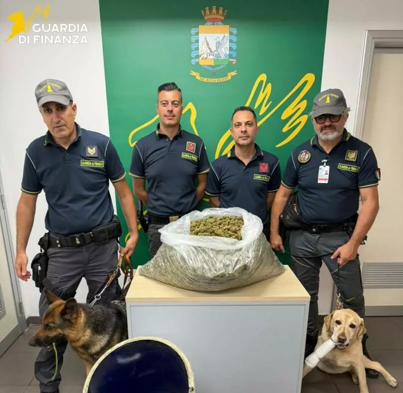A Catania sequestrati 12 chili di marijuana del tipo &lsquo;skunk&rsquo;