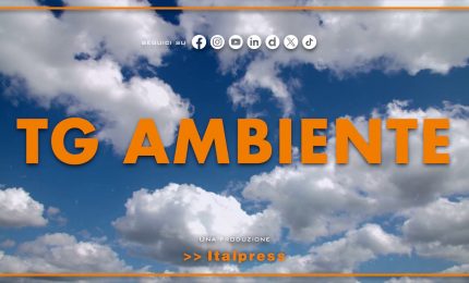 Tg Ambiente - 29/6/2025