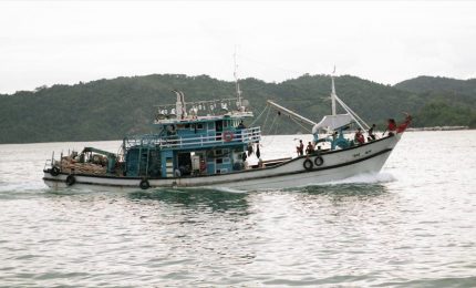 Nuove risorse per la filiera ittica