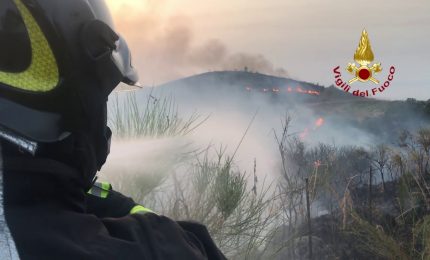 L&rsquo;Italia continua a bruciare. Il Report dell&rsquo;ISPRA