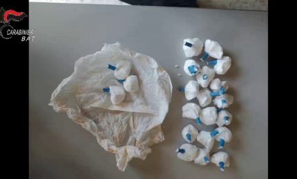 Nel barese sgominata banda dedita a estorsione e traffico di droga