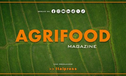 Agrifood Magazine - 4/6/2025