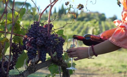 Vino e pasta trainano il Made in Italy nel mondo