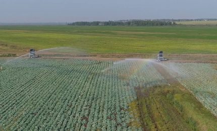 L&rsquo;Ue potrebbe produrre pi&ugrave; cibo con meno risorse