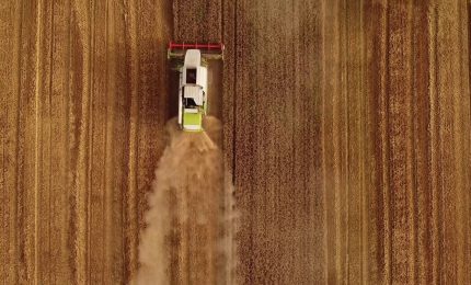 Agricoltura, nuovi finanziamenti per l'innovazione