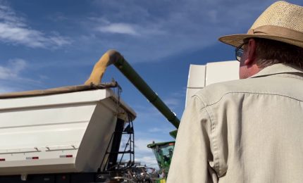 Agronomi e forestali professioni in crescita