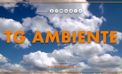 Tg Ambiente - 15/6/2025