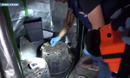 Operazione antidroga a Caltanissetta, 11 misure cautelari