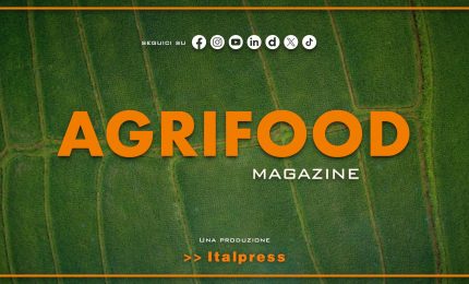 Agrifood Magazine - 18/6/2025