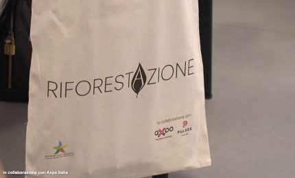 Verde urbano, il progetto "Riforestazione" fa tappa a Palermo