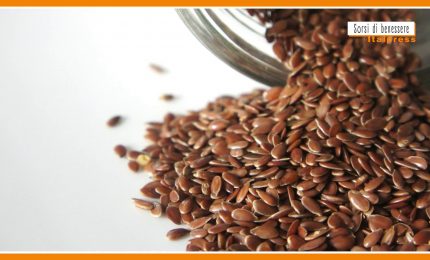 Sorsi di Benessere - I semi di lino
