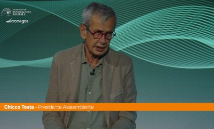 Energie rinnovabili, Chicco Testa "Bisogna procedere con buonsenso"