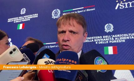 Lollobrigida "Sui dazi trattativa aperta, ci sono dei risultati"