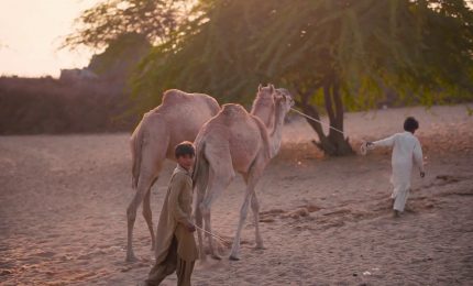 Children in Crisis sostiene l&rsquo;istruzione per i bambini in difficolt&agrave;