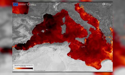 Il Mar Mediterraneo &egrave; sempre pi&ugrave; caldo, oltre 5&deg; sopra la media