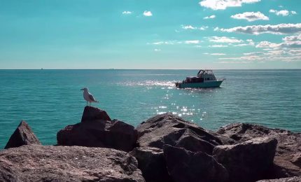 Pesca, verso una governance comune per l'Adriatico