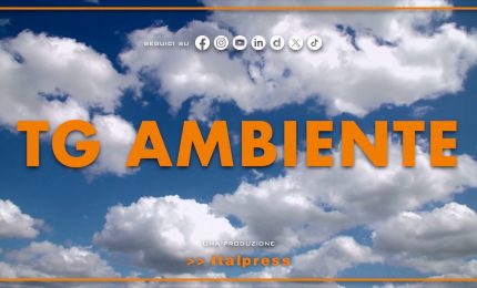 Tg Ambiente - 27/7/2025