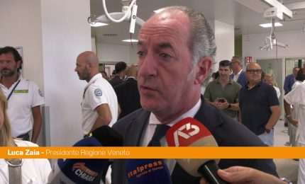 Veneto, Zaia "Lista civica? Non &egrave; crociata, decider&agrave; il candidato"