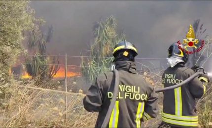 Incendi a Catania, le fiamme minacciano capannoni e attivit&agrave;