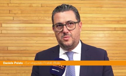 Dazi, Polato "Con Usa serve negoziare, no a prove muscolari"