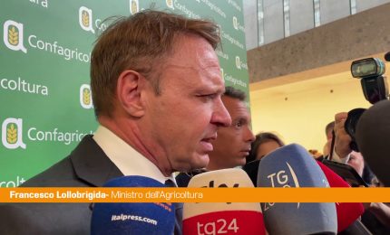 Agricoltura, Lollobrigida "Evitare che l'Ue faccia scelte folli"