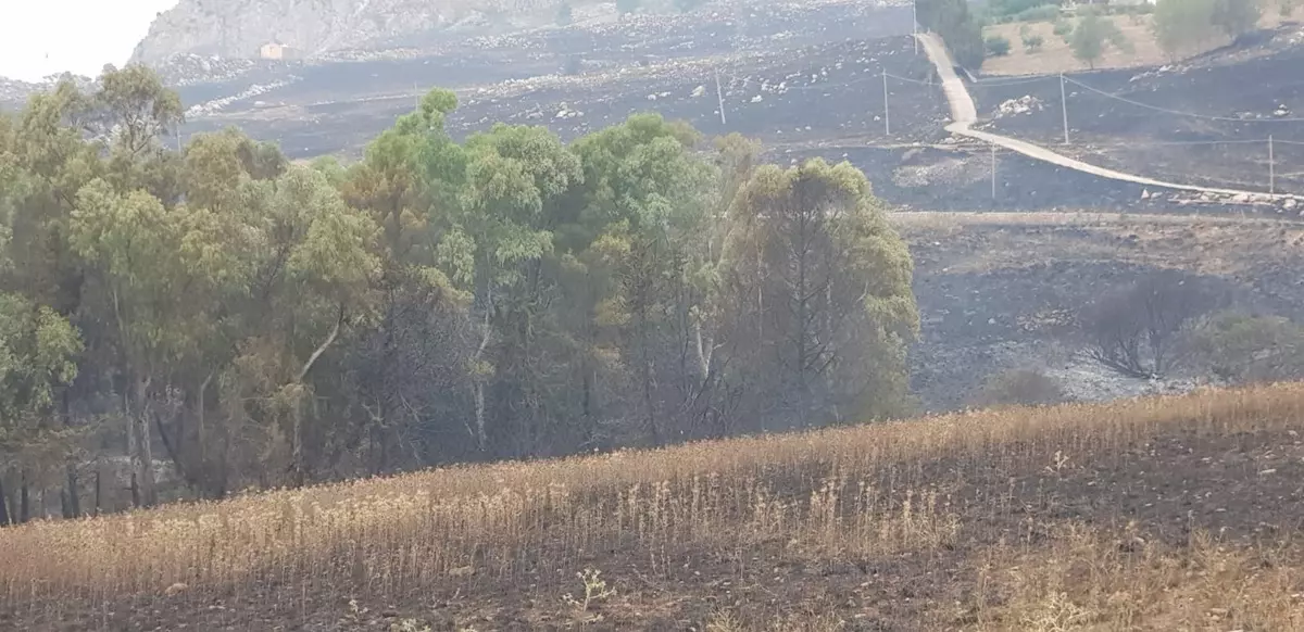Incendi a Piana degli Albanesi, Cgil Palermo &ldquo;Un disastro&rdquo;