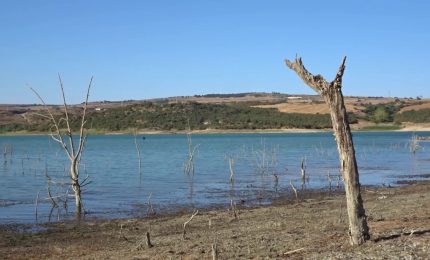 Cambiamenti climatici e siccit&agrave;, l&rsquo;impatto sull&rsquo;agricoltura