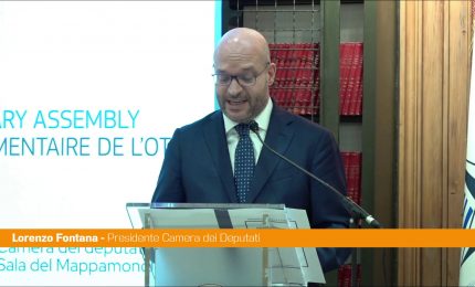 Nato, Fontana "La diplomazia parlamentare &egrave; una risorsa per la pace"
