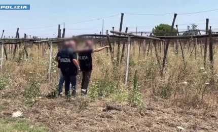 Vasta operazione contro l'immigrazione clandestina in 23 province