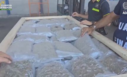 Nel porto di Gioia Tauro sequestrati 1.220 kg di marijuana