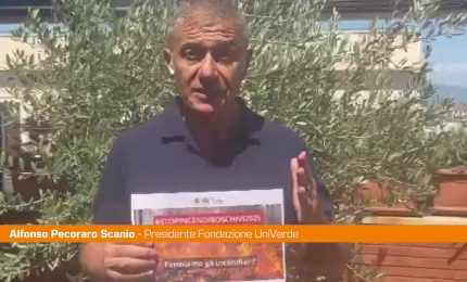 Incendi, Pecoraro Scanio "Emergenza nazionale, Governo intervenga"