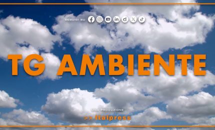 Tg Ambiente - 20/7/2025