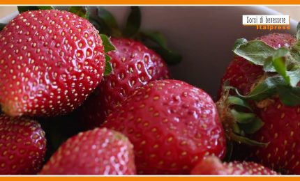 Sorsi di Benessere - Una crema di frutti rossi