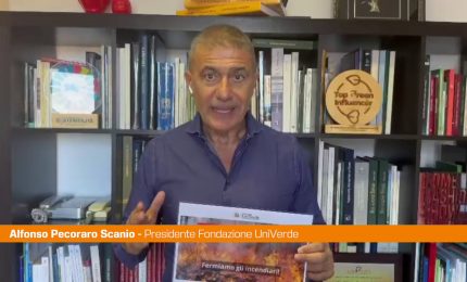 Pecoraro Scanio "Azioni dure contro incendiari. Usiamo il 1515"