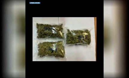 Blitz antidroga. Tra Abruzzo, Lazio e Puglia 12 misure cautelari