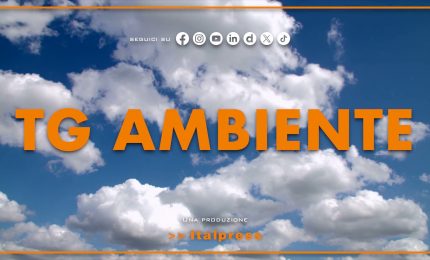 Tg Ambiente - 31/8/2025