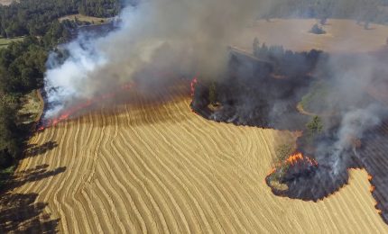 Europa in fiamme, milioni di ettari bruciati
