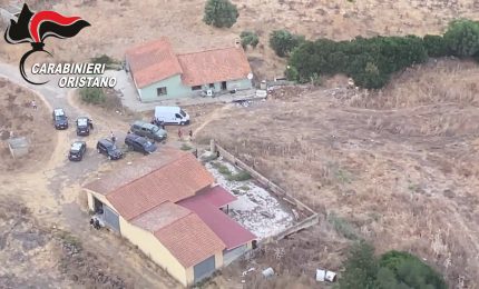 Carabinieri scoprono una piantagione di marijuana a Oristano,8 arresti