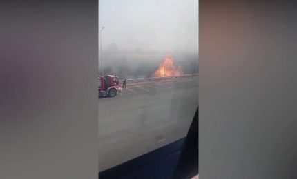 Rogo nel mercato agroalimentare di Catania