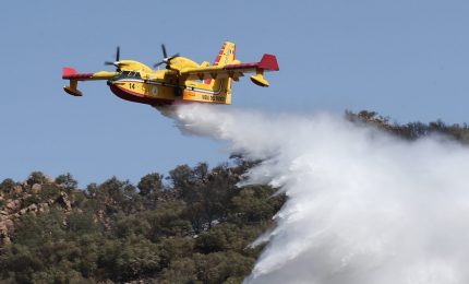 Corpo forestale della Regione Siciliana, via libera a 369 assunzioni