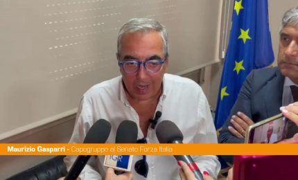 Gasparri "Per Forza Italia la sanit&agrave; resta una priorit&agrave; assoluta"