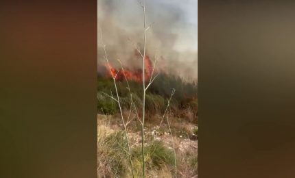Un incendio divampa in un canneto nel ragusano, le immagini