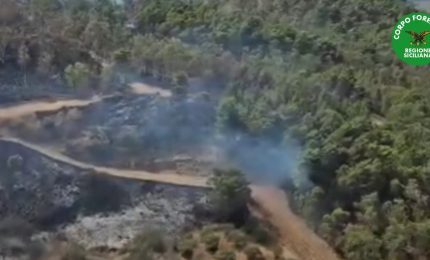 Incendio nell'Agrigentino, in fiamme ettari di bosco su Monte Sara