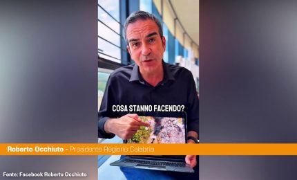 Incendi in Calabria, Occhiuto "Arrestati 2 piromani, gi&agrave; 70 denunce"