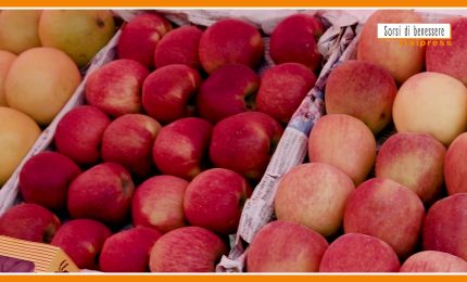 Sorsi di Benessere - Un condimento estivo e fruttato