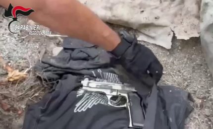 Piantagione di marijuana e deposito di armi sequestrati nel Reggino