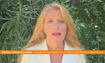 Brambilla "Due lupi condannati a morte in Alto Adige, danno enorme"